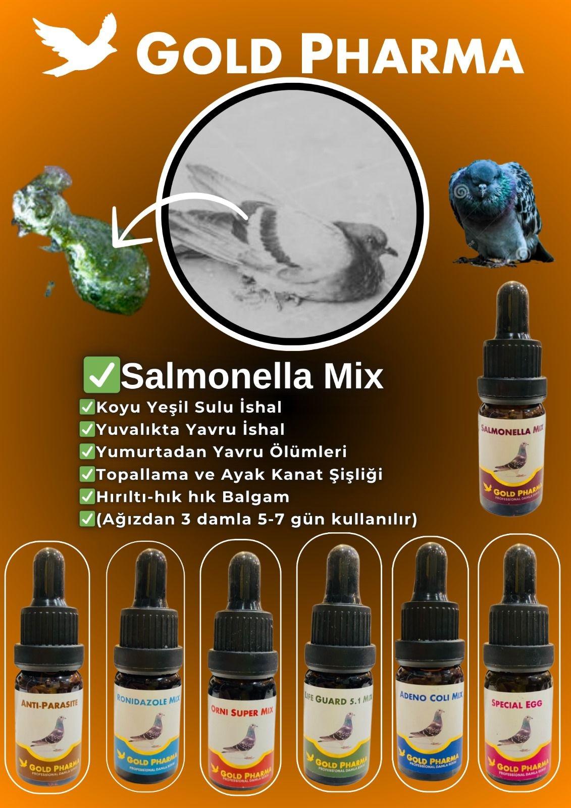 Salmonella%20damla