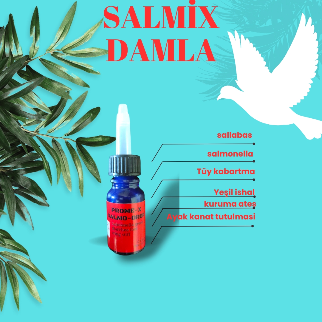 Salmonella%20damla